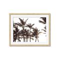 Picture of Cali Palms Sepia Collection _GroupedProduct_Rectangle_Landscape_Photography _GroupedProduct_Rectangle_Landscape_Framed_Matted_