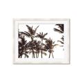Picture of Cali Palms Sepia Collection _GroupedProduct_Rectangle_Landscape_Photography _GroupedProduct_Rectangle_Landscape_Framed_Matted_