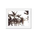Picture of Cali Palms Sepia Collection _GroupedProduct_Rectangle_Landscape_Photography _GroupedProduct_Rectangle_Landscape_Framed_Matted_