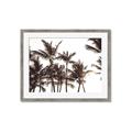 Picture of Cali Palms Sepia Collection _GroupedProduct_Rectangle_Landscape_Photography _GroupedProduct_Rectangle_Landscape_Framed_Matted_