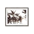 Picture of Cali Palms Sepia Collection _GroupedProduct_Rectangle_Landscape_Photography _GroupedProduct_Rectangle_Landscape_Framed_Matted_