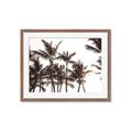 Picture of Cali Palms Sepia Collection _GroupedProduct_Rectangle_Landscape_Photography _GroupedProduct_Rectangle_Landscape_Framed_Matted_