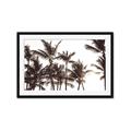 Picture of Cali Palms Sepia Collection _GroupedProduct_Rectangle_Landscape_Photography _GroupedProduct_Rectangle_Landscape_Framed_Matted_