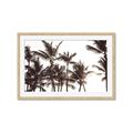 Picture of Cali Palms Sepia Collection _GroupedProduct_Rectangle_Landscape_Photography _GroupedProduct_Rectangle_Landscape_Framed_Matted_
