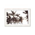 Picture of Cali Palms Sepia Collection _GroupedProduct_Rectangle_Landscape_Photography _GroupedProduct_Rectangle_Landscape_Framed_Matted_