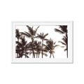 Picture of Cali Palms Sepia Collection _GroupedProduct_Rectangle_Landscape_Photography _GroupedProduct_Rectangle_Landscape_Framed_Matted_