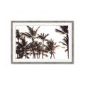 Picture of Cali Palms Sepia Collection _GroupedProduct_Rectangle_Landscape_Photography _GroupedProduct_Rectangle_Landscape_Framed_Matted_