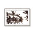 Picture of Cali Palms Sepia Collection _GroupedProduct_Rectangle_Landscape_Photography _GroupedProduct_Rectangle_Landscape_Framed_Matted_