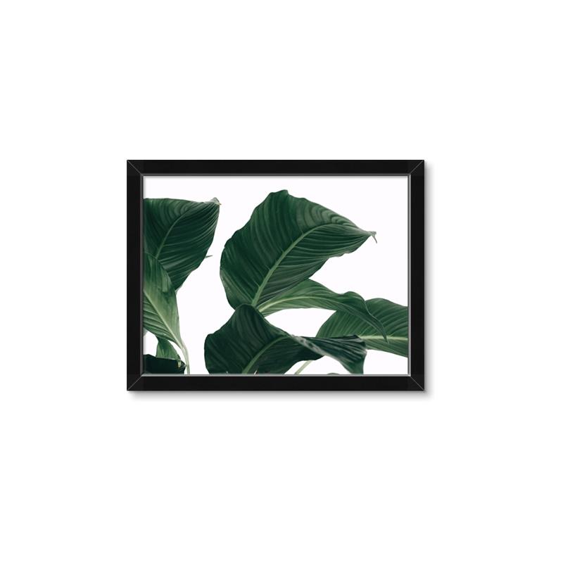 Picture of Plant Bliss _GroupedProduct_Rectangle_Landscape_Photography _GroupedProduct_Rectangle_Landscape_Framed_Matted_