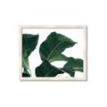 Picture of Plant Bliss _GroupedProduct_Rectangle_Landscape_Photography _GroupedProduct_Rectangle_Landscape_Framed_Matted_