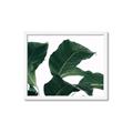 Picture of Plant Bliss _GroupedProduct_Rectangle_Landscape_Photography _GroupedProduct_Rectangle_Landscape_Framed_Matted_