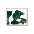 Picture of Plant Bliss _GroupedProduct_Rectangle_Landscape_Photography _GroupedProduct_Rectangle_Landscape_Framed_Matted_