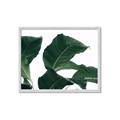 Picture of Plant Bliss _GroupedProduct_Rectangle_Landscape_Photography _GroupedProduct_Rectangle_Landscape_Framed_Matted_