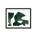 Picture of Plant Bliss _GroupedProduct_Rectangle_Landscape_Photography _GroupedProduct_Rectangle_Landscape_Framed_Matted_