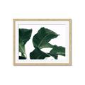 Picture of Plant Bliss _GroupedProduct_Rectangle_Landscape_Photography _GroupedProduct_Rectangle_Landscape_Framed_Matted_