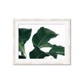 Picture of Plant Bliss _GroupedProduct_Rectangle_Landscape_Photography _GroupedProduct_Rectangle_Landscape_Framed_Matted_