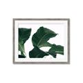 Picture of Plant Bliss _GroupedProduct_Rectangle_Landscape_Photography _GroupedProduct_Rectangle_Landscape_Framed_Matted_
