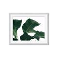 Picture of Plant Bliss _GroupedProduct_Rectangle_Landscape_Photography _GroupedProduct_Rectangle_Landscape_Framed_Matted_