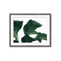 Picture of Plant Bliss _GroupedProduct_Rectangle_Landscape_Photography _GroupedProduct_Rectangle_Landscape_Framed_Matted_