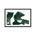 Picture of Plant Bliss _GroupedProduct_Rectangle_Landscape_Photography _GroupedProduct_Rectangle_Landscape_Framed_Matted_