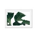 Picture of Plant Bliss _GroupedProduct_Rectangle_Landscape_Photography _GroupedProduct_Rectangle_Landscape_Framed_Matted_