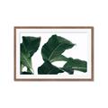 Picture of Plant Bliss _GroupedProduct_Rectangle_Landscape_Photography _GroupedProduct_Rectangle_Landscape_Framed_Matted_