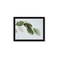 Picture of Spring Dew Leaves _GroupedProduct_Rectangle_Landscape_Photography _GroupedProduct_Rectangle_Landscape_Framed_Matted_