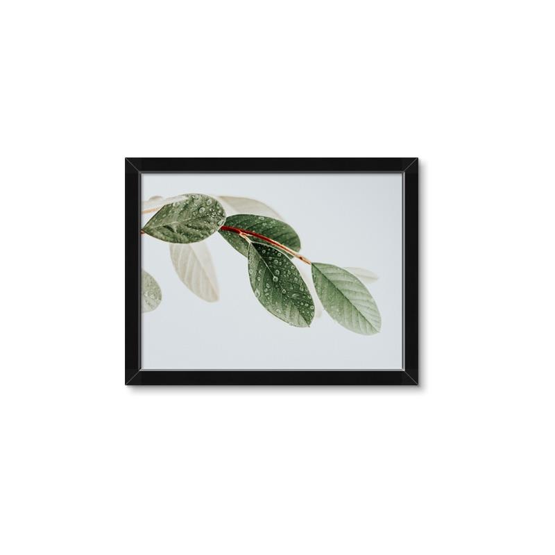 Picture of Spring Dew Leaves _GroupedProduct_Rectangle_Landscape_Photography _GroupedProduct_Rectangle_Landscape_Framed_Matted_