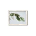 Picture of Spring Dew Leaves _GroupedProduct_Rectangle_Landscape_Photography _GroupedProduct_Rectangle_Landscape_Framed_Matted_