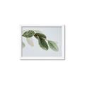 Picture of Spring Dew Leaves _GroupedProduct_Rectangle_Landscape_Photography _GroupedProduct_Rectangle_Landscape_Framed_Matted_