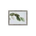 Picture of Spring Dew Leaves _GroupedProduct_Rectangle_Landscape_Photography _GroupedProduct_Rectangle_Landscape_Framed_Matted_