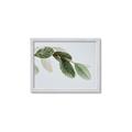 Picture of Spring Dew Leaves _GroupedProduct_Rectangle_Landscape_Photography _GroupedProduct_Rectangle_Landscape_Framed_Matted_