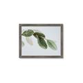 Picture of Spring Dew Leaves _GroupedProduct_Rectangle_Landscape_Photography _GroupedProduct_Rectangle_Landscape_Framed_Matted_