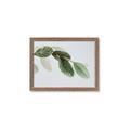 Picture of Spring Dew Leaves _GroupedProduct_Rectangle_Landscape_Photography _GroupedProduct_Rectangle_Landscape_Framed_Matted_