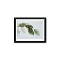 Picture of Spring Dew Leaves _GroupedProduct_Rectangle_Landscape_Photography _GroupedProduct_Rectangle_Landscape_Framed_Matted_