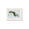 Picture of Spring Dew Leaves _GroupedProduct_Rectangle_Landscape_Photography _GroupedProduct_Rectangle_Landscape_Framed_Matted_