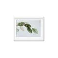 Picture of Spring Dew Leaves _GroupedProduct_Rectangle_Landscape_Photography _GroupedProduct_Rectangle_Landscape_Framed_Matted_