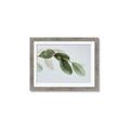 Picture of Spring Dew Leaves _GroupedProduct_Rectangle_Landscape_Photography _GroupedProduct_Rectangle_Landscape_Framed_Matted_