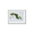 Picture of Spring Dew Leaves _GroupedProduct_Rectangle_Landscape_Photography _GroupedProduct_Rectangle_Landscape_Framed_Matted_