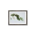 Picture of Spring Dew Leaves _GroupedProduct_Rectangle_Landscape_Photography _GroupedProduct_Rectangle_Landscape_Framed_Matted_