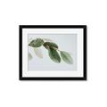 Picture of Spring Dew Leaves _GroupedProduct_Rectangle_Landscape_Photography _GroupedProduct_Rectangle_Landscape_Framed_Matted_
