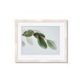 Picture of Spring Dew Leaves _GroupedProduct_Rectangle_Landscape_Photography _GroupedProduct_Rectangle_Landscape_Framed_Matted_