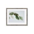 Picture of Spring Dew Leaves _GroupedProduct_Rectangle_Landscape_Photography _GroupedProduct_Rectangle_Landscape_Framed_Matted_