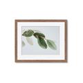 Picture of Spring Dew Leaves _GroupedProduct_Rectangle_Landscape_Photography _GroupedProduct_Rectangle_Landscape_Framed_Matted_