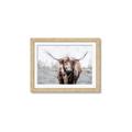 Picture of Bison _GroupedProduct_Rectangle_Landscape_Framed_Matted_