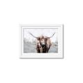 Picture of Bison _GroupedProduct_Rectangle_Landscape_Framed_Matted_