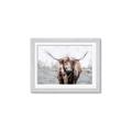 Picture of Bison _GroupedProduct_Rectangle_Landscape_Framed_Matted_
