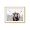 Picture of Bison _GroupedProduct_Rectangle_Landscape_Framed_Matted_
