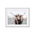 Picture of Bison _GroupedProduct_Rectangle_Landscape_Framed_Matted_