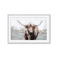 Picture of Bison _GroupedProduct_Rectangle_Landscape_Framed_Matted_